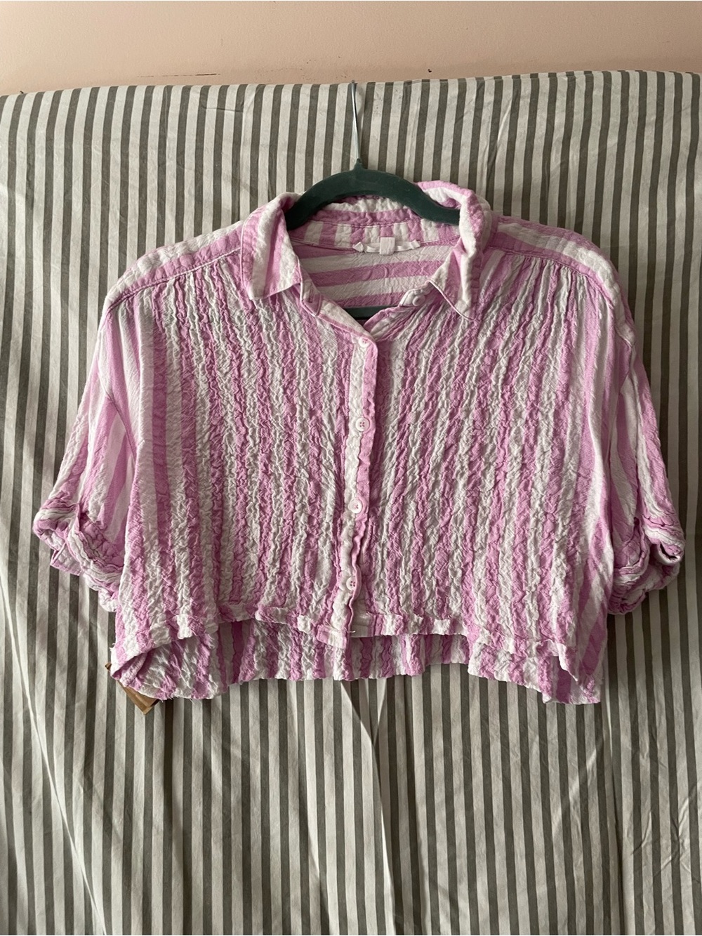 Gauzey Pink Striped Crop Top - Picture 1 of 4